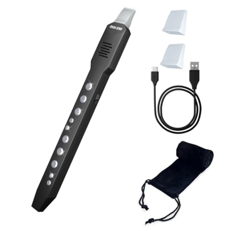 Electric Saxophone Digital Win - مراجعة Musical Instruments وسعره
