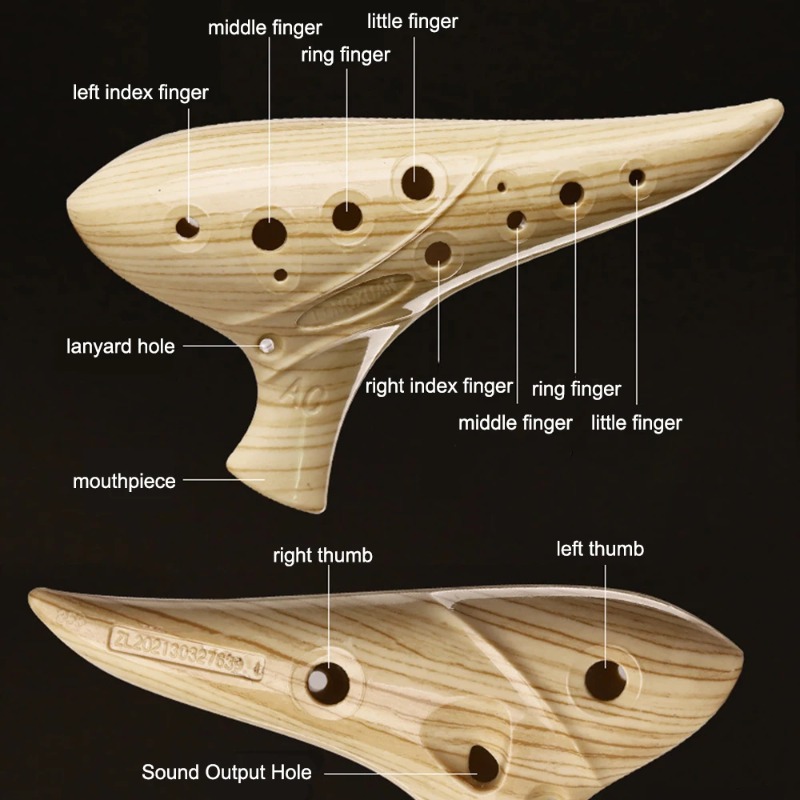 12 Hole Ocarina for Beginners  - مراجعة Musical Instrument Easy To Learn وسعره
