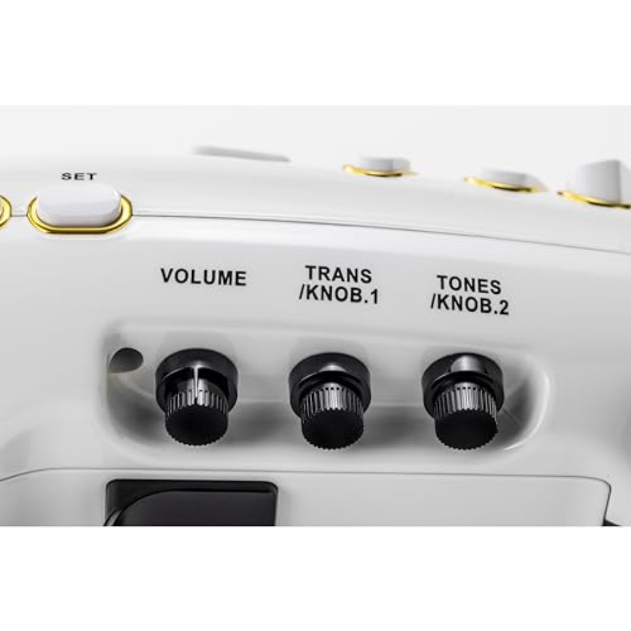 Elesa Electronic Saxophone Dig - مراجعة Musical Instruments وسعره