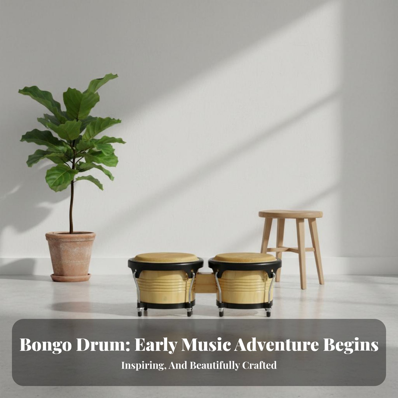Bongo Drum Set Educational 6 a - مراجعة Bongo Drum Set وسعره