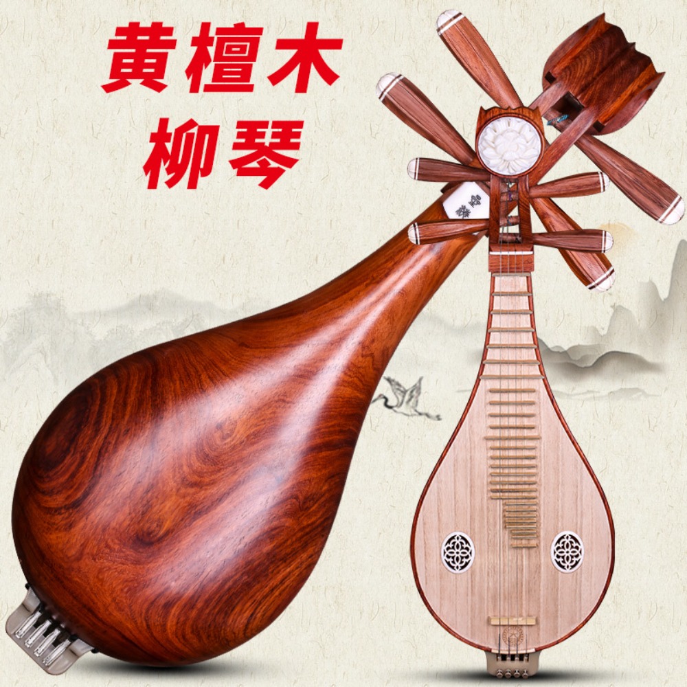Beijing Xinghai 8414-A Rosewoo - مراجعة Musical Instruments وسعره