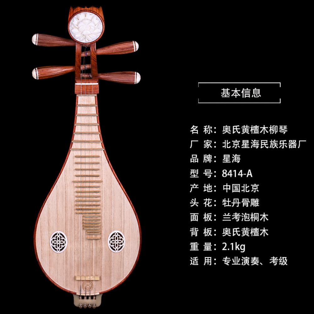 Beijing Xinghai 8414-A Rosewoo - مراجعة Musical Instruments وسعره