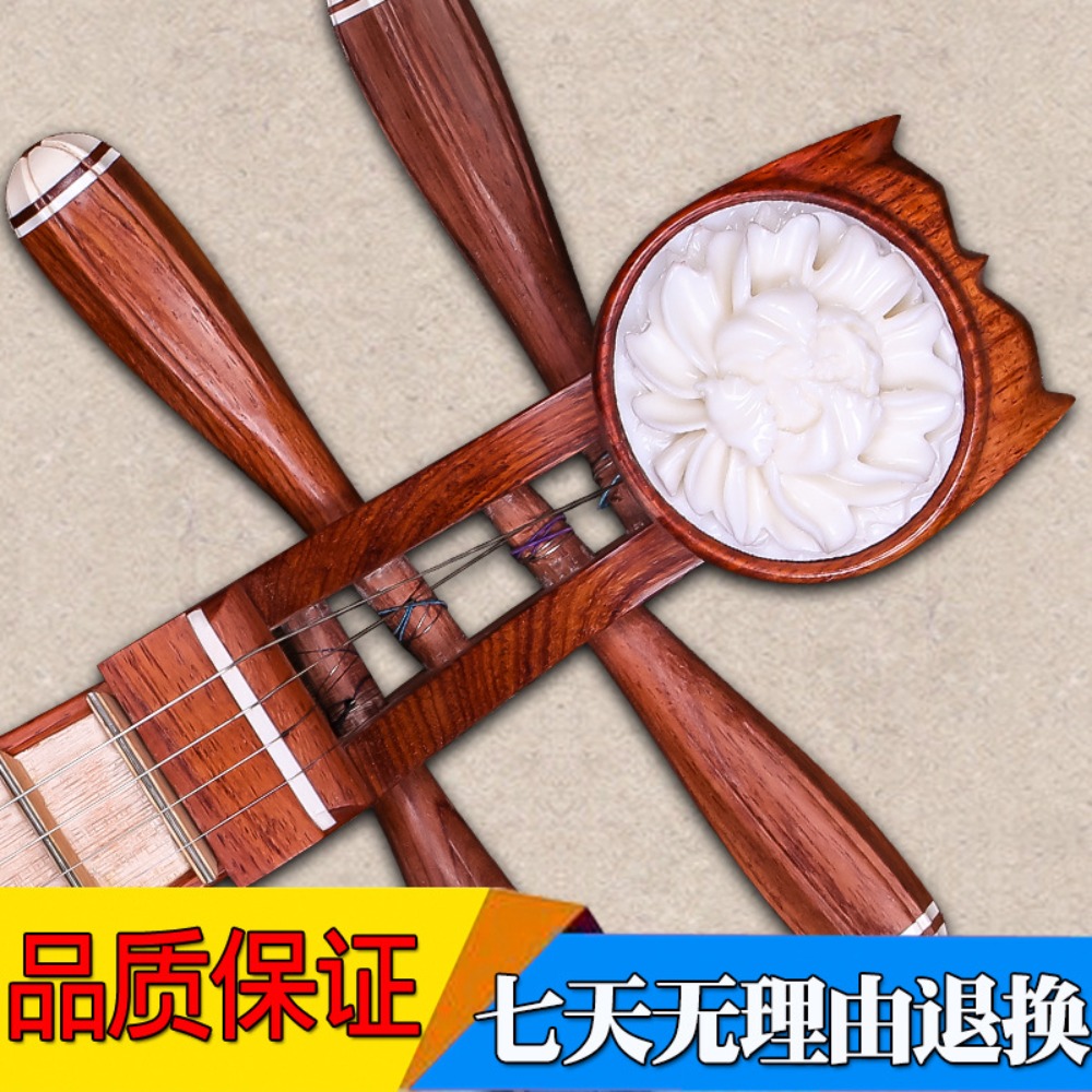 Beijing Xinghai 8414-A Rosewoo - مراجعة Musical Instruments وسعره