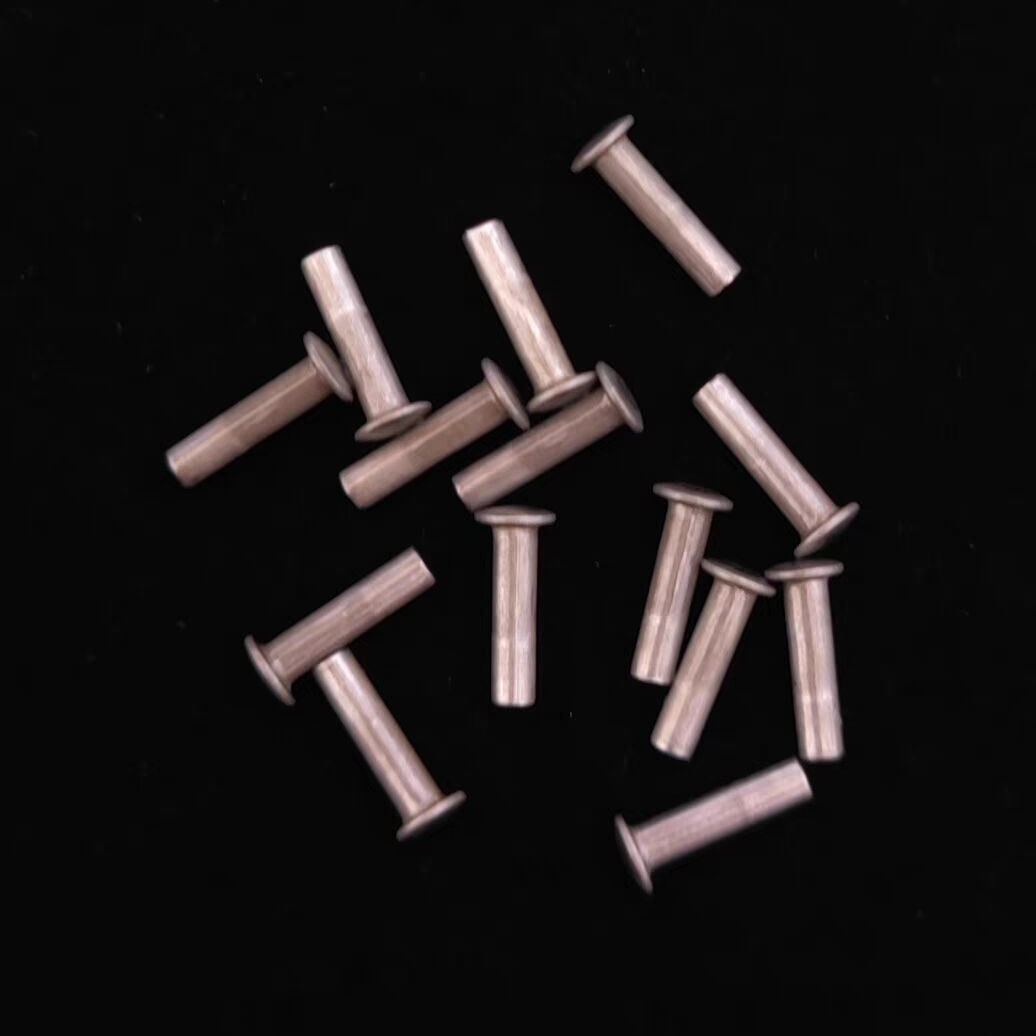 10pcs Pendulum Rivets Fit For  - مراجعة Musical Instrument Zither وسعره
