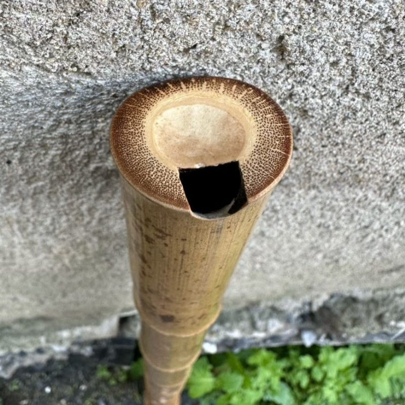 8 Holes Chinese Vertical Bambo - مراجعة Shakuhachi Bamboo Flute وسعره