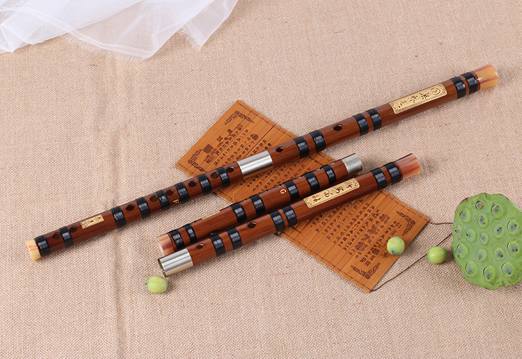 Bamboo Flute Professional Tran - مراجعة Shakuhachi Bamboo Flute وسعره