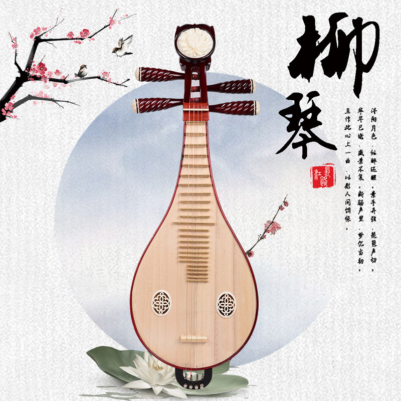 Professional Performance & Gra - مراجعة Musical Instruments وسعره