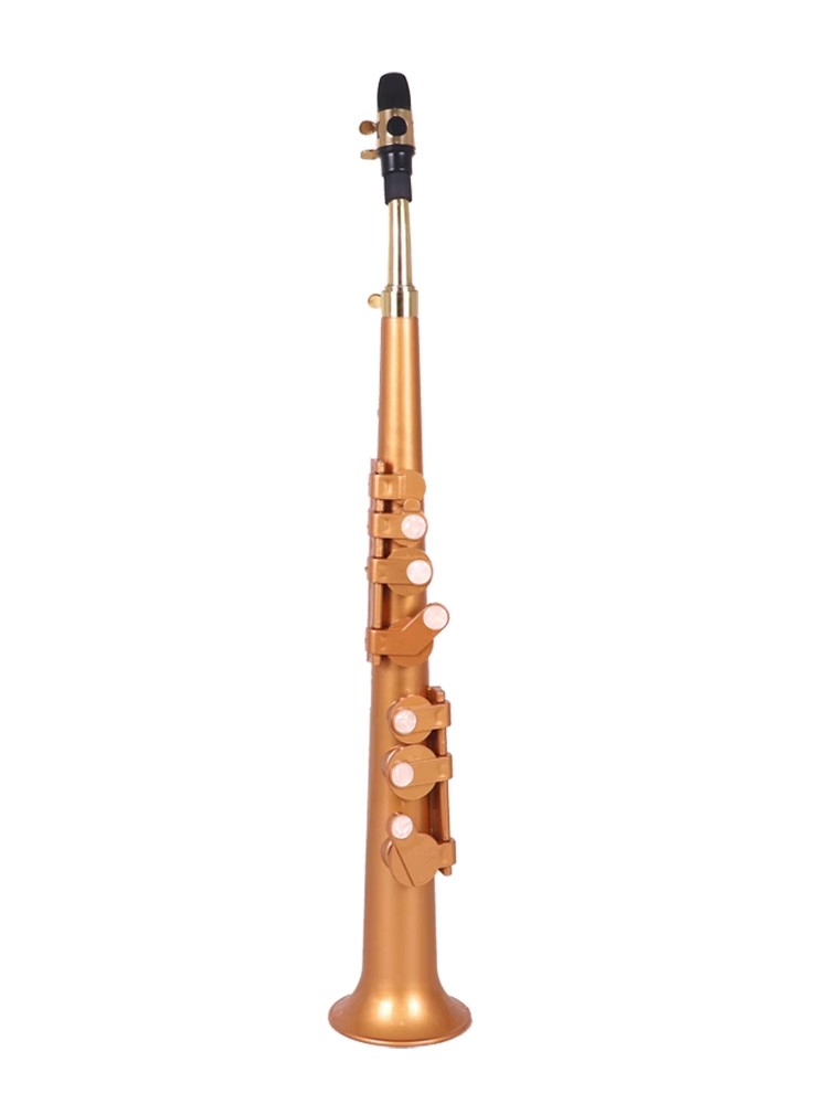 Saxophone Littlesax Pocket Sax - مراجعة Musical Instrument Reed وسعره