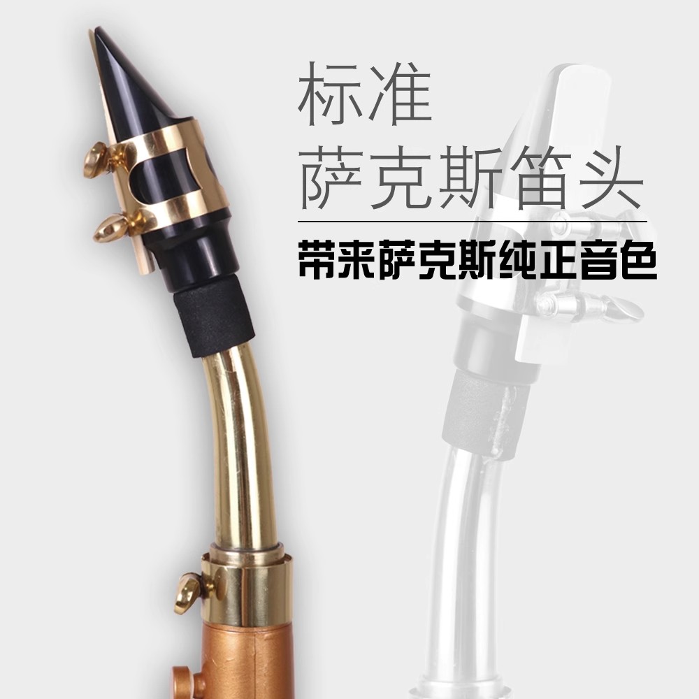 Saxophone Littlesax Pocket Sax - مراجعة Musical Instrument Reed وسعره