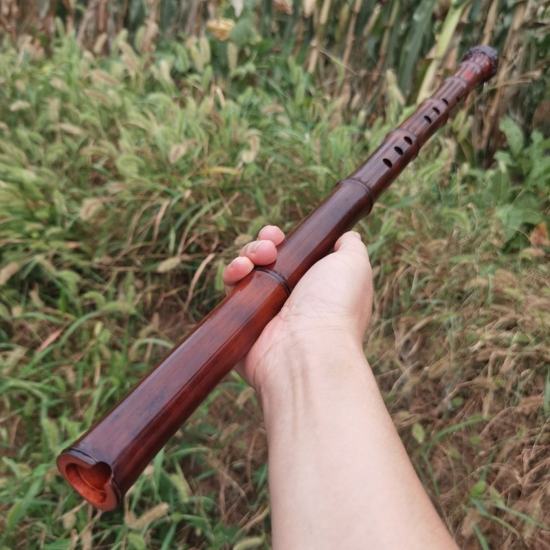 8 Hole Xiao Adult Beginners Ch - مراجعة Shakuhachi Bamboo Flute وسعره