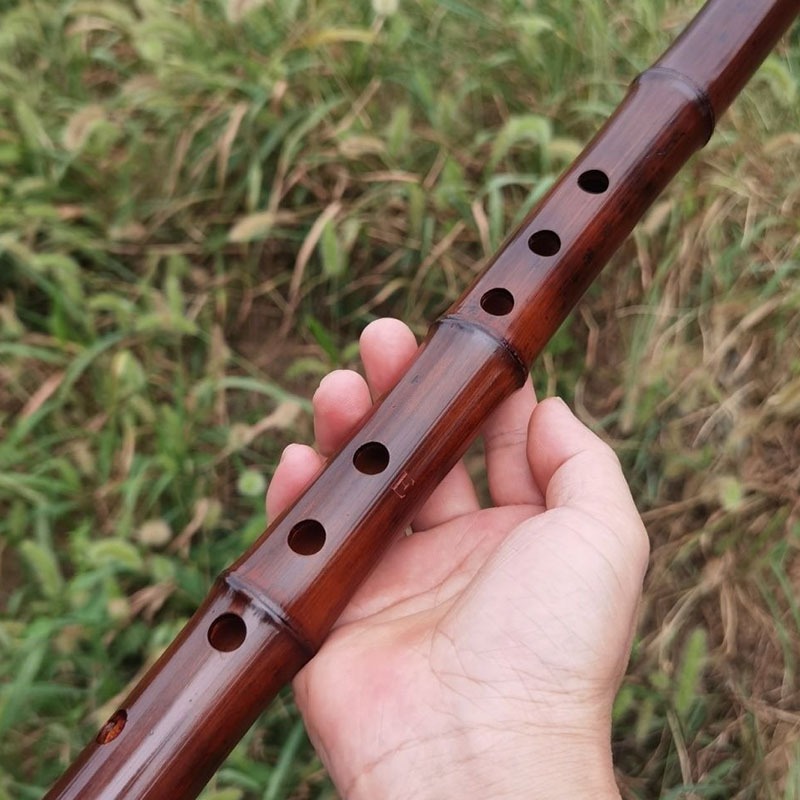 8 Hole Xiao Adult Beginners Ch - مراجعة Shakuhachi Bamboo Flute وسعره