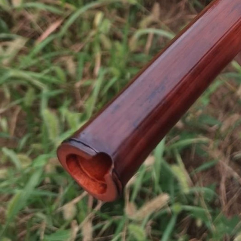 8 Hole Xiao Adult Beginners Ch - مراجعة Shakuhachi Bamboo Flute وسعره