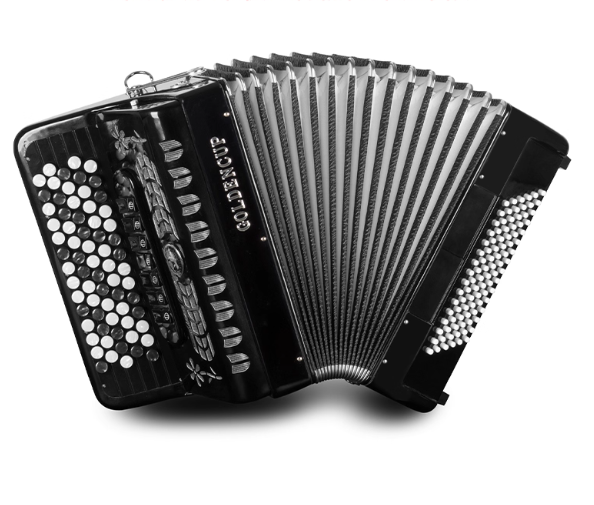 Bayan Accordion 96/120 Bass Tr - مراجعة Musical Instrument Reed وسعره