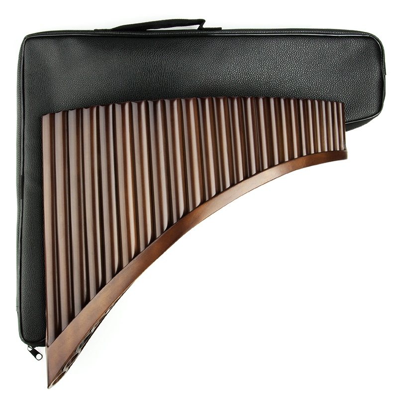 25 Pipes C Key Professional Pa - مراجعة Musical Instrument Easy To Learn وسعره