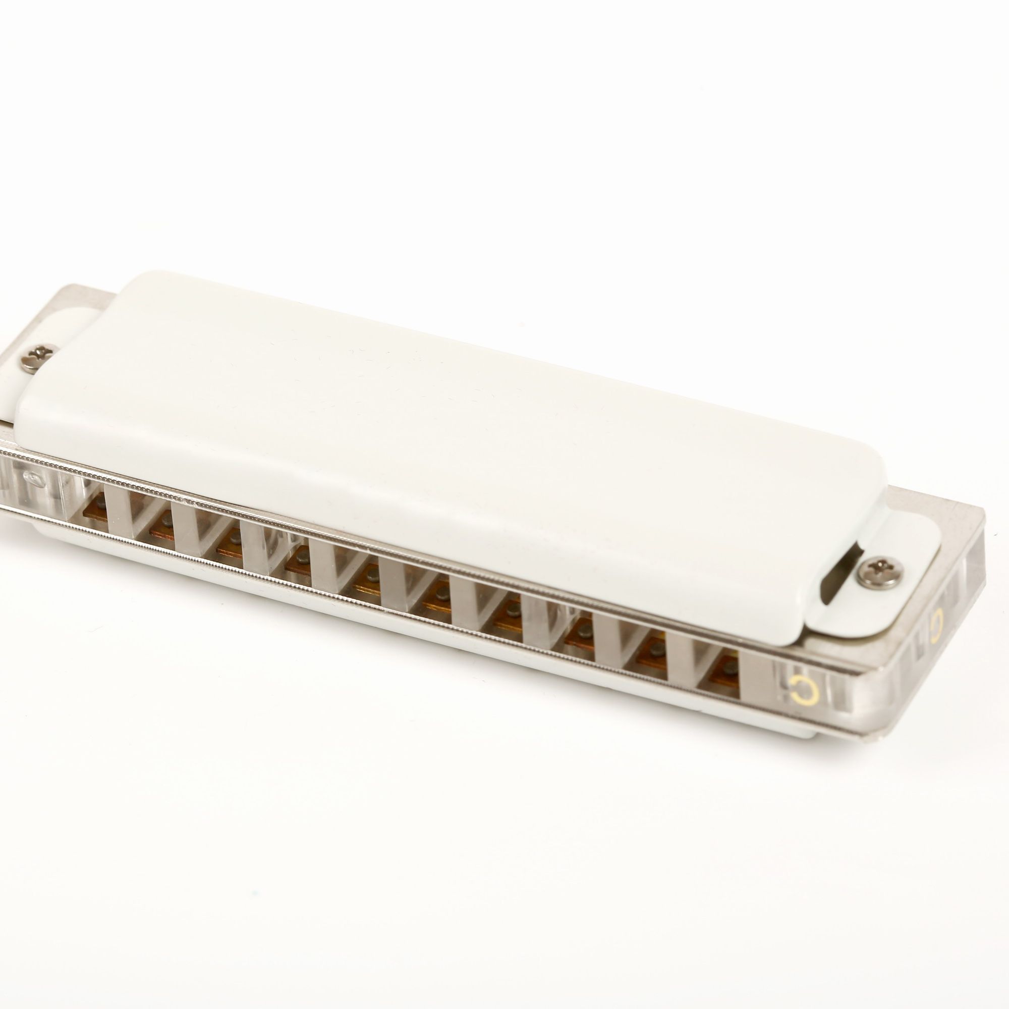 East top 10 hole harmonica pro - مراجعة Musical Instrument Reed وسعره