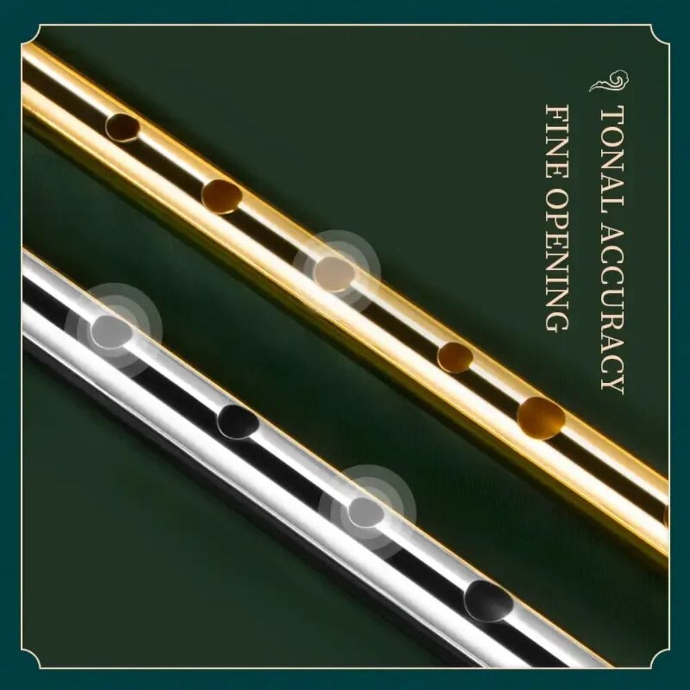6 Holes C/D Key Irish Whistle  - مراجعة Musical Instrument Easy To Learn وسعره